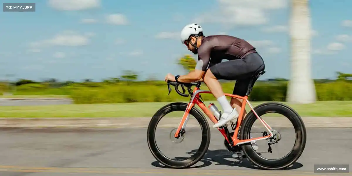 行业领先的理由